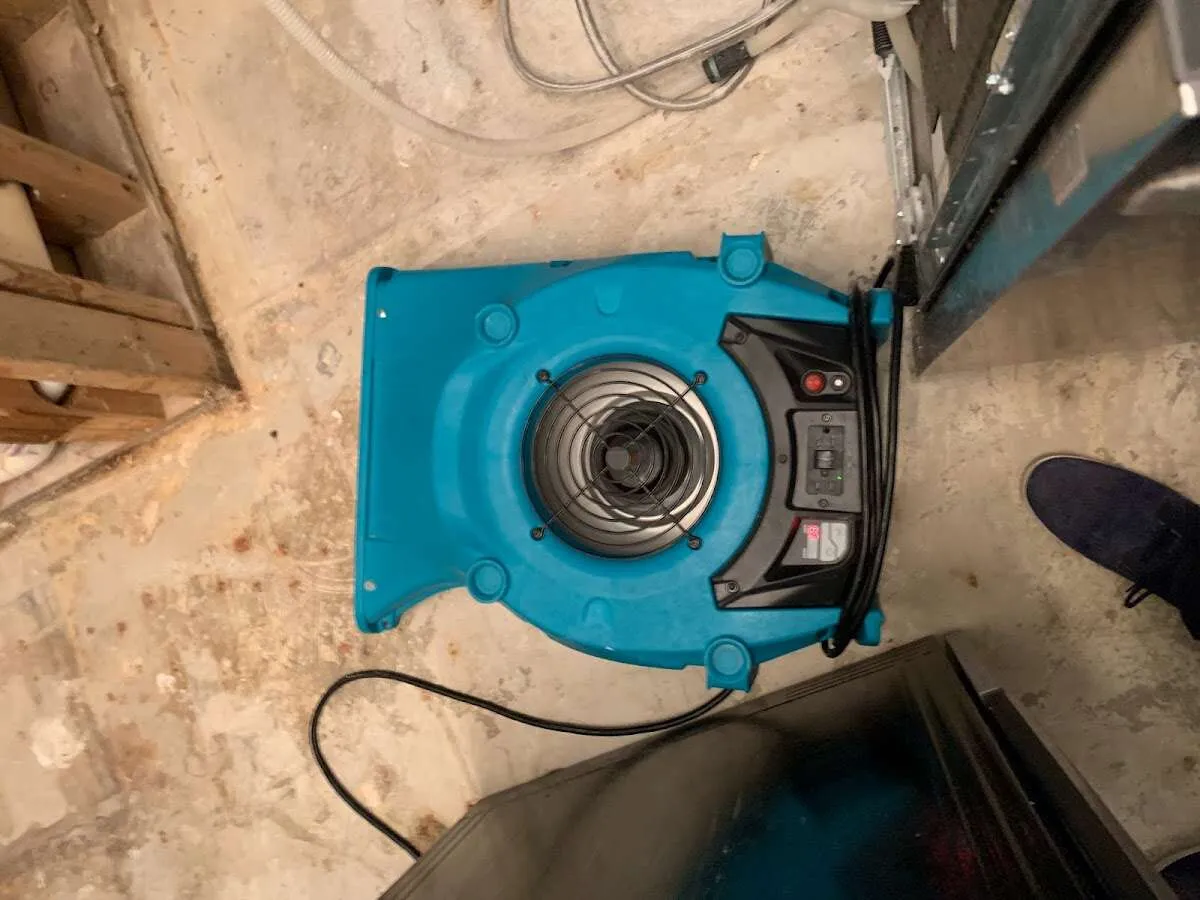 Air mover drying equipment for Mold Remediation & Removal in Woodmere